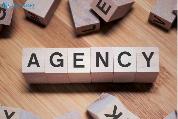 Agency là gì? Bản đồ tư duy và Quy trình vận hành chuẩn quốc tế 2026